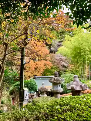 瑞鳳殿(宮城県)