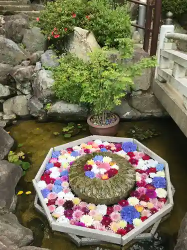 岡寺（龍蓋寺）のその他建物