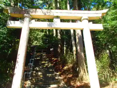 白山神社の鳥居