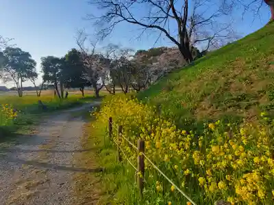 前玉神社(埼玉県)
