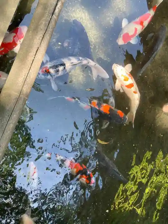 子安神社(東京都)