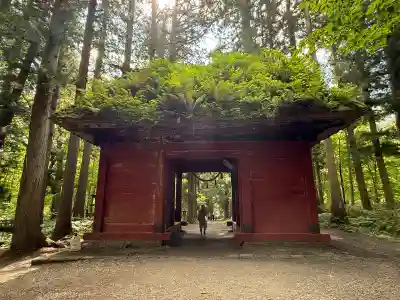 戸隠神社奥社(長野県)