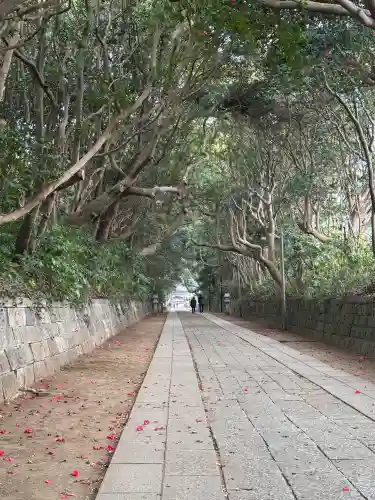 酒列磯前神社の{uncategorized: "未分類", other: "その他", undefined: "問題あり", building: "その他建物", grave: "お墓", sacred_gate: "鳥居", guardian: "狛犬", statue: "像", buddha: "仏像", history: "歴史", nature: "自然", garden: "庭園", animal: "動物", pagoda: "塔", temizu: "手水舎", mountain_gate: "山門・神門", sanctuary: "本殿・本堂", subordinate: "末社・摂社", art: "芸術", scenery: "景色", jizo: "地蔵", ema: "絵馬", goshuin: "御朱印", omikuji: "おみくじ", items: "授与品その他", amulet: "お守り", goshuincho: "御朱印帳", eats: "食事", festival: "お祭り", votive_dance: "神楽", shichigosan: "七五三参", wedding: "結婚式", experience: "体験その他", initially: "初詣", around: "周辺", anti_infection: "感染症対策"}