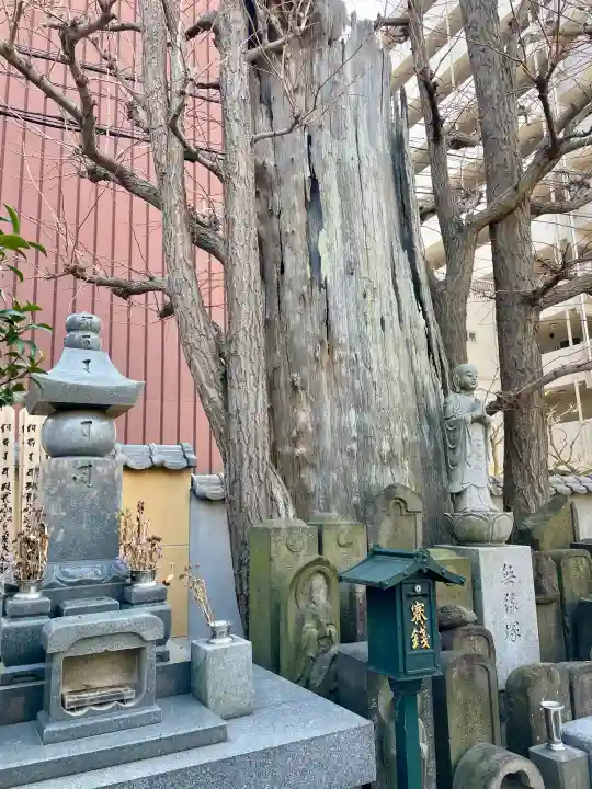 東光寺の{uncategorized: "未分類", other: "その他", undefined: "問題あり", building: "その他建物", grave: "お墓", sacred_gate: "鳥居", guardian: "狛犬", statue: "像", buddha: "仏像", history: "歴史", nature: "自然", garden: "庭園", animal: "動物", pagoda: "塔", temizu: "手水舎", mountain_gate: "山門・神門", sanctuary: "本殿・本堂", subordinate: "末社・摂社", art: "芸術", scenery: "景色", jizo: "地蔵", ema: "絵馬", goshuin: "御朱印", omikuji: "おみくじ", items: "授与品その他", amulet: "お守り", goshuincho: "御朱印帳", eats: "食事", festival: "お祭り", votive_dance: "神楽", shichigosan: "七五三参", wedding: "結婚式", experience: "体験その他", initially: "初詣", around: "周辺", anti_infection: "感染症対策"}