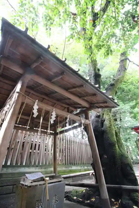 金刀比羅神社(東京都)