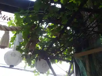 菊名神社のその他建物