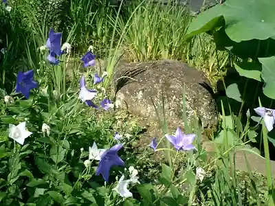 長谷寺のその他建物