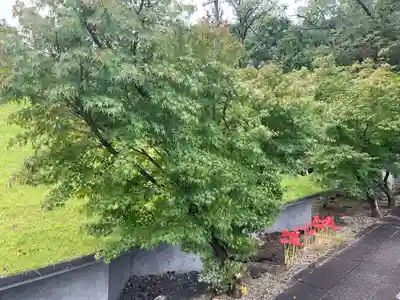 伊勢の国 四天王寺(三重県)