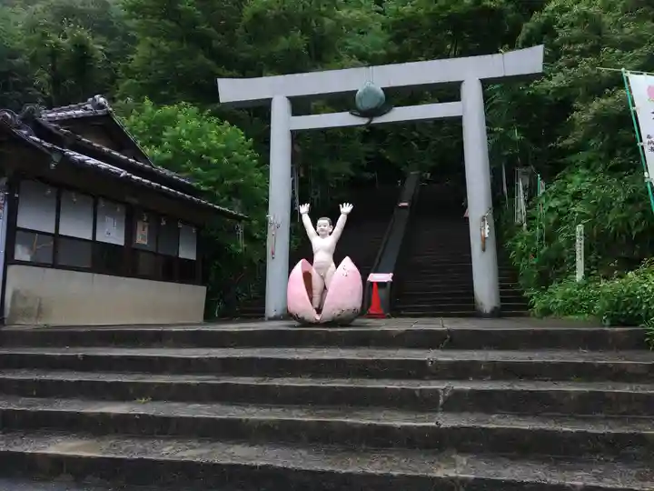 桃太郎神社(栗栖)の鳥居