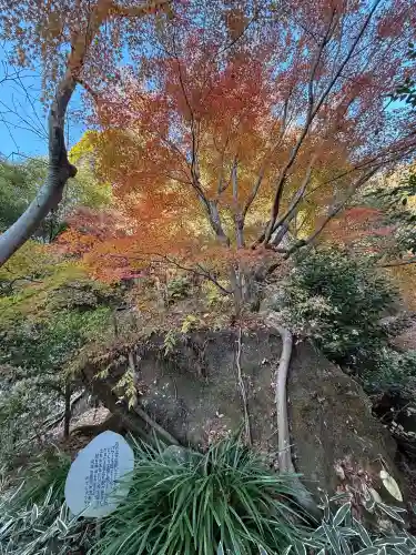 明月院の{uncategorized: "未分類", other: "その他", undefined: "問題あり", building: "その他建物", grave: "お墓", sacred_gate: "鳥居", guardian: "狛犬", statue: "像", buddha: "仏像", history: "歴史", nature: "自然", garden: "庭園", animal: "動物", pagoda: "塔", temizu: "手水舎", mountain_gate: "山門・神門", sanctuary: "本殿・本堂", subordinate: "末社・摂社", art: "芸術", scenery: "景色", jizo: "地蔵", ema: "絵馬", goshuin: "御朱印", omikuji: "おみくじ", items: "授与品その他", amulet: "お守り", goshuincho: "御朱印帳", eats: "食事", festival: "お祭り", votive_dance: "神楽", shichigosan: "七五三参", wedding: "結婚式", experience: "体験その他", initially: "初詣", around: "周辺", anti_infection: "感染症対策"}
