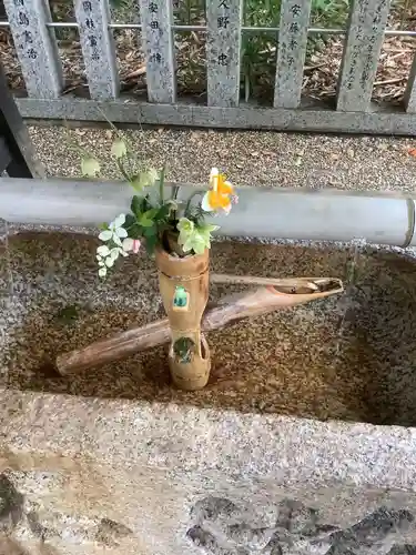 富部神社の手水舎