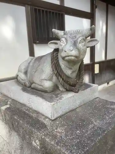 藤井神社（横根藤井神社）の像