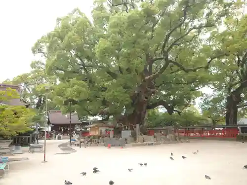 宇美八幡宮のその他建物