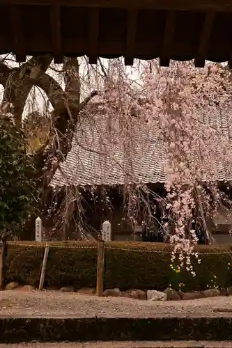 法蓮寺(愛媛県)