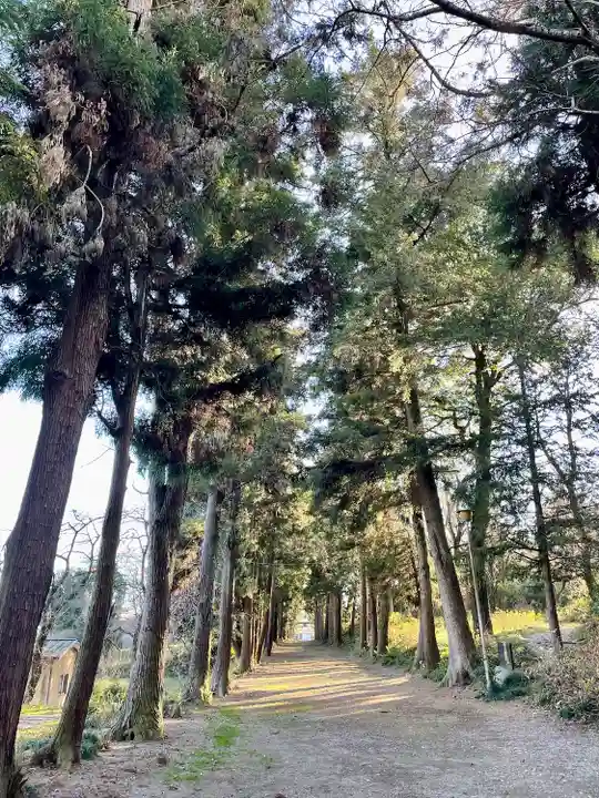 千代ケ岡八幡宮(栃木県)