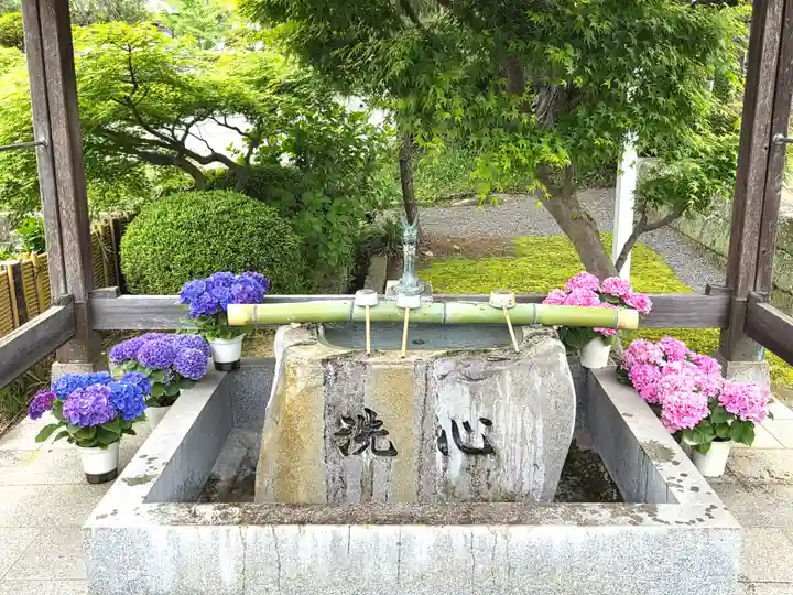 曼荼羅寺(香川県)