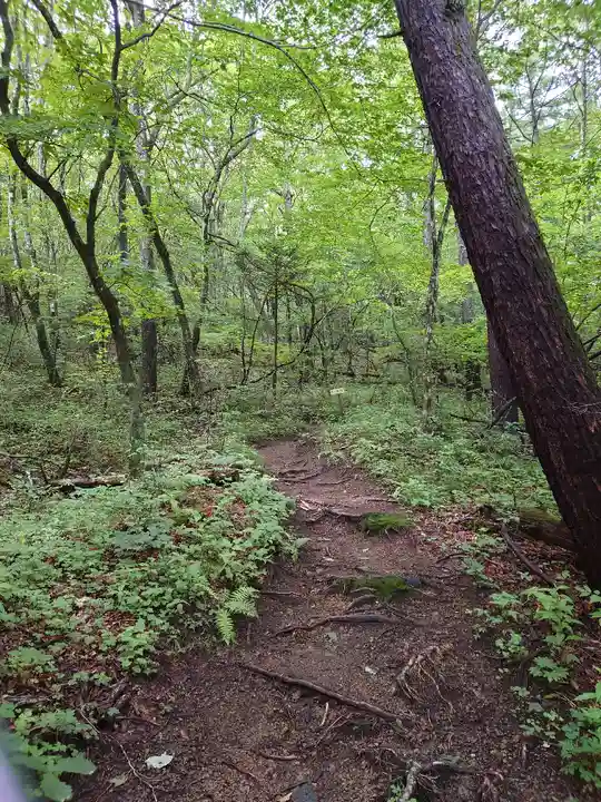 熊野皇大神社の自然