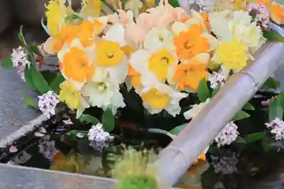 高司神社〜むすびの神の鎮まる社〜の手水舎