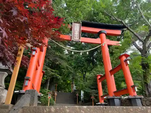 新倉富士浅間神社の鳥居