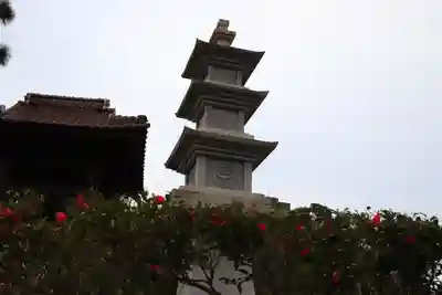 福知寺の塔