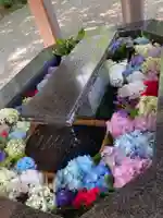 新琴似神社の手水舎