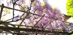 神田神社（神田明神）の庭園