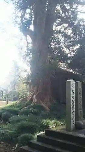 神田山延命院の建物その他