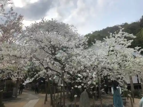 大宝寺の庭園