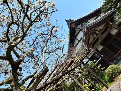 龍潭寺の{uncategorized: "未分類", other: "その他", undefined: "問題あり", building: "その他建物", grave: "お墓", sacred_gate: "鳥居", guardian: "狛犬", statue: "像", buddha: "仏像", history: "歴史", nature: "自然", garden: "庭園", animal: "動物", pagoda: "塔", temizu: "手水舎", mountain_gate: "山門・神門", sanctuary: "本殿・本堂", subordinate: "末社・摂社", art: "芸術", scenery: "景色", jizo: "地蔵", ema: "絵馬", goshuin: "御朱印", omikuji: "おみくじ", items: "授与品その他", amulet: "お守り", goshuincho: "御朱印帳", eats: "食事", festival: "お祭り", votive_dance: "神楽", shichigosan: "七五三参", wedding: "結婚式", experience: "体験その他", initially: "初詣", around: "周辺", anti_infection: "感染症対策"}