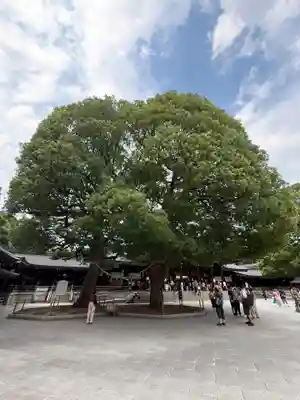 明治神宮(東京都)