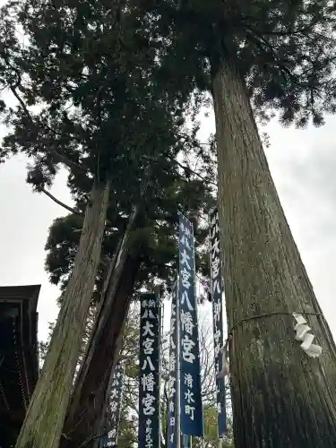 大宮八幡宮(兵庫県)