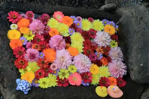 大鏑神社の手水