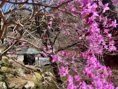 尊永寺の{uncategorized: "未分類", other: "その他", undefined: "問題あり", building: "その他建物", grave: "お墓", sacred_gate: "鳥居", guardian: "狛犬", statue: "像", buddha: "仏像", history: "歴史", nature: "自然", garden: "庭園", animal: "動物", pagoda: "塔", temizu: "手水舎", mountain_gate: "山門・神門", sanctuary: "本殿・本堂", subordinate: "末社・摂社", art: "芸術", scenery: "景色", jizo: "地蔵", ema: "絵馬", goshuin: "御朱印", omikuji: "おみくじ", items: "授与品その他", amulet: "お守り", goshuincho: "御朱印帳", eats: "食事", festival: "お祭り", votive_dance: "神楽", shichigosan: "七五三参", wedding: "結婚式", experience: "体験その他", initially: "初詣", around: "周辺", anti_infection: "感染症対策"}