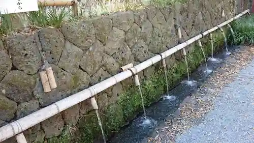 富士山本宮浅間大社の手水