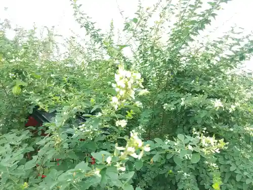 寺岡山元三大師(栃木県)