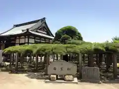 本性院の建物その他