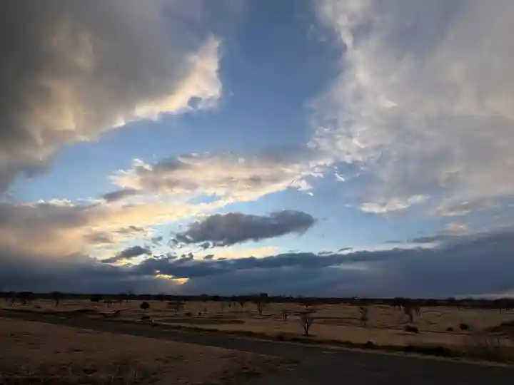 雀神社(茨城県)