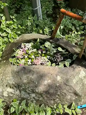 岡部春日神社～👹鬼門よけの🌺花咲く🌺やしろ～(福島県)