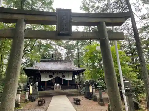 白根神社の鳥居