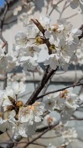玉田神社(京都府)