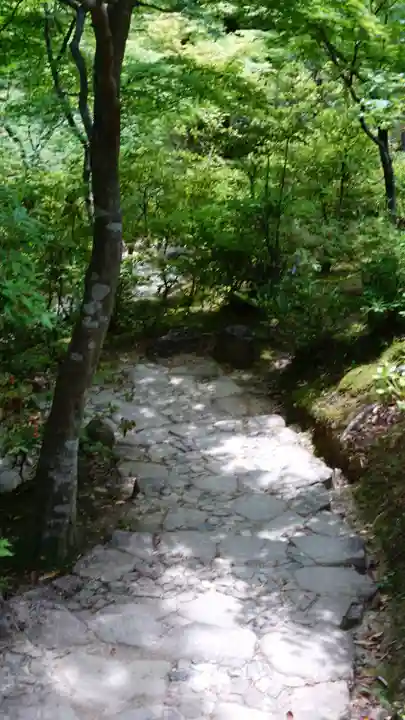 常寂光寺(京都府)
