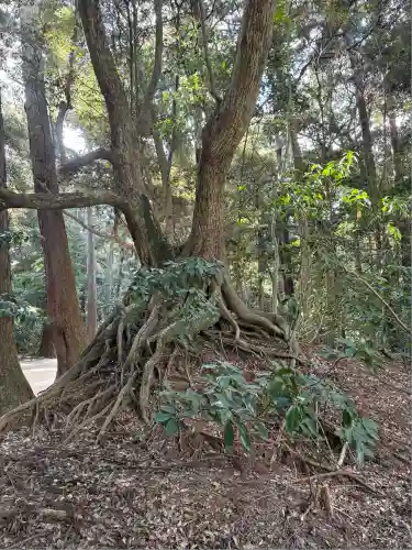 鹿島神宮(茨城県)