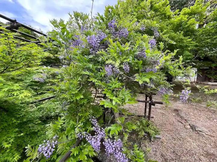 金剛寺(大阪府)