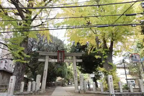 駒込富士神社(東京都)