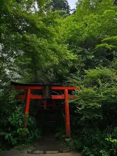 箱根神社(神奈川県)