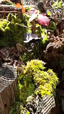弥照神社(北海道)
