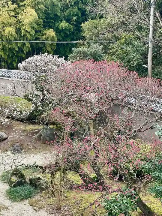 成田山平和大塔の{uncategorized: "未分類", other: "その他", undefined: "問題あり", building: "その他建物", grave: "お墓", sacred_gate: "鳥居", guardian: "狛犬", statue: "像", buddha: "仏像", history: "歴史", nature: "自然", garden: "庭園", animal: "動物", pagoda: "塔", temizu: "手水舎", mountain_gate: "山門・神門", sanctuary: "本殿・本堂", subordinate: "末社・摂社", art: "芸術", scenery: "景色", jizo: "地蔵", ema: "絵馬", goshuin: "御朱印", omikuji: "おみくじ", items: "授与品その他", amulet: "お守り", goshuincho: "御朱印帳", eats: "食事", festival: "お祭り", votive_dance: "神楽", shichigosan: "七五三参", wedding: "結婚式", experience: "体験その他", initially: "初詣", around: "周辺", anti_infection: "感染症対策"}