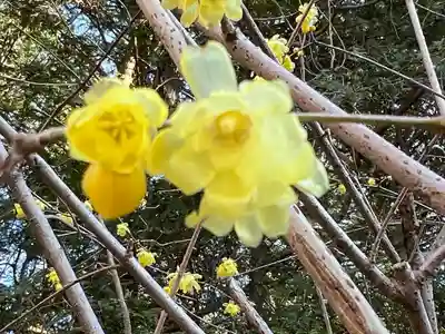 宝登山神社奥宮(埼玉県)