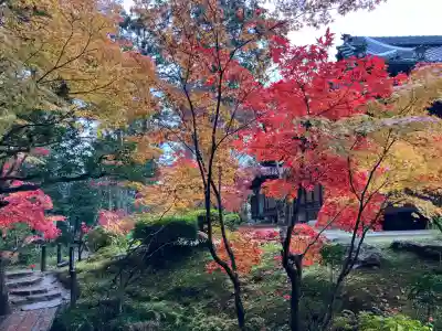 天授庵(京都府)