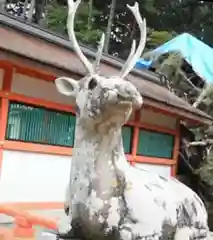 大原野神社の狛犬